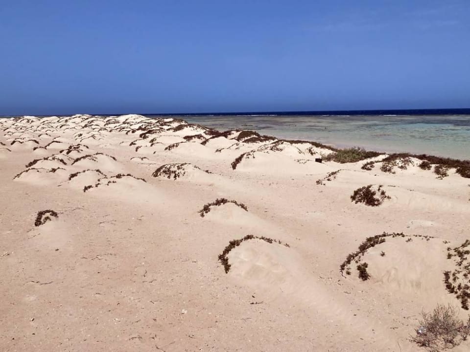 Kleine Sanddünen Hotel Gorgonia Beach Resort