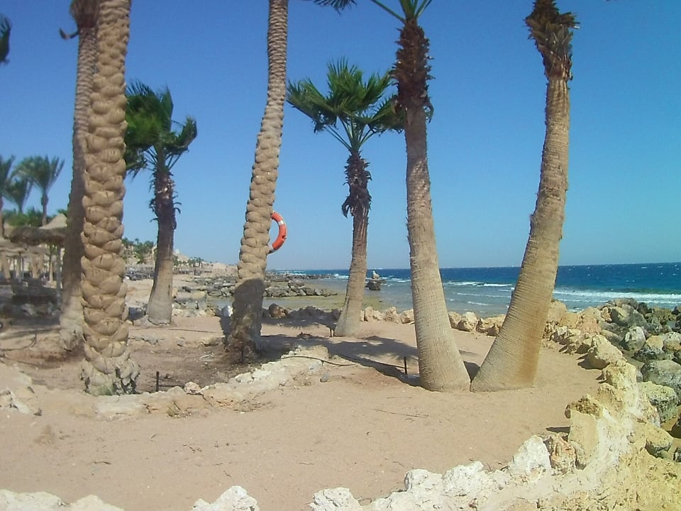 Strand Pickalbatros Citadel Resort