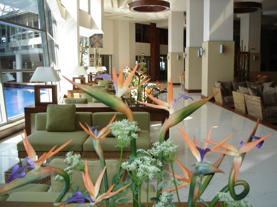 Oasis Bar Limak Lara Deluxe Hotel & Resort