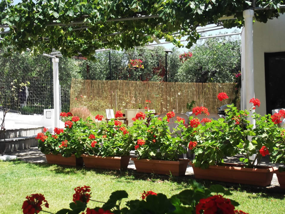 Garden Gorgona Rooms