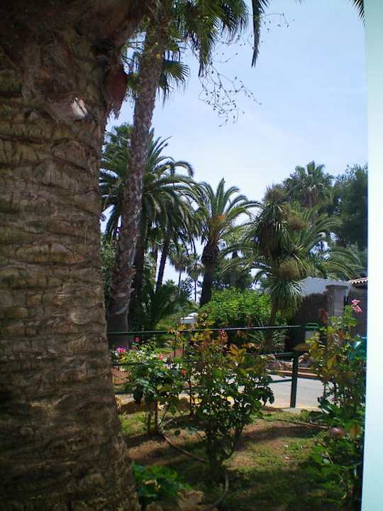 Gepflegte Anlage Flipflop Cala Romantica