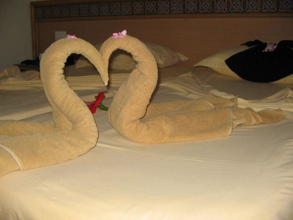 Bisschen Trinkgeld und alles ist gut Hotel Royal Nozha