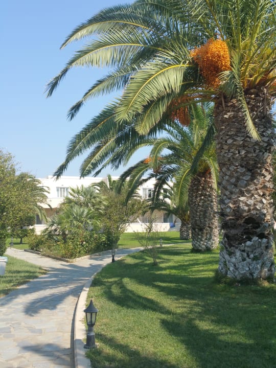 Gartenanlage Hotel Esperia