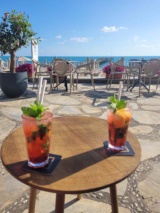 Gastro Arum Barut Collection