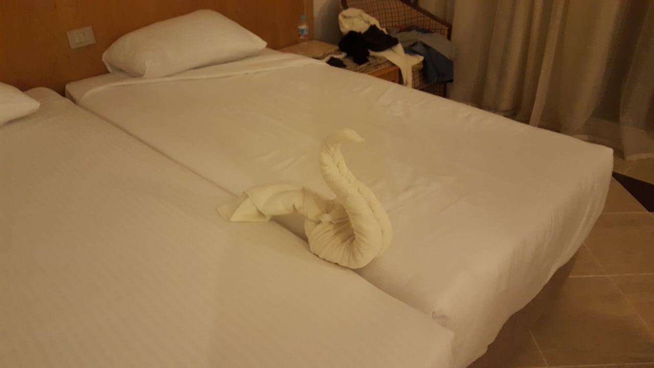 Zimmer Beach Albatros Resort