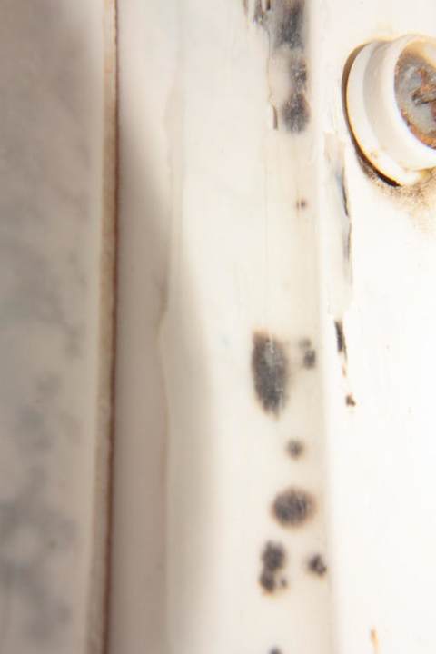 Sauberkeit Hotel Napoleon