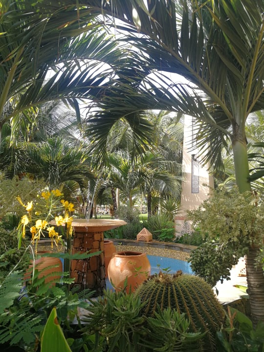 Gartenanlage Hotel Riu Touareg