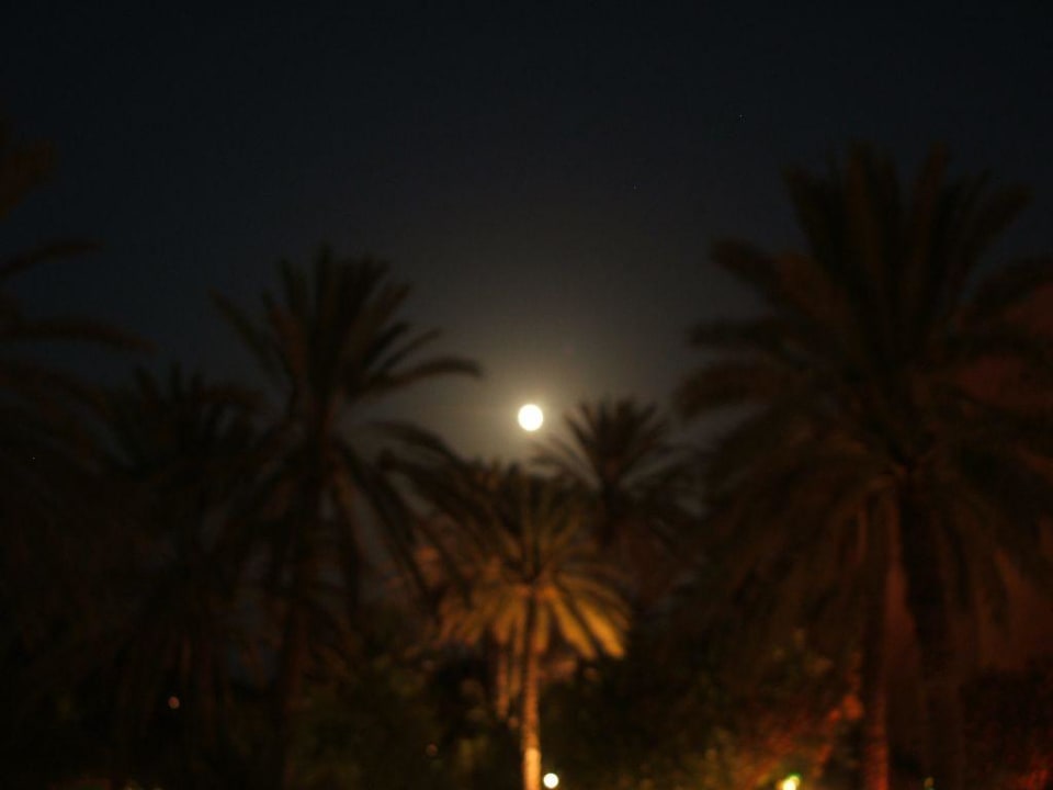 Mond El Ksar Resort & Thalasso