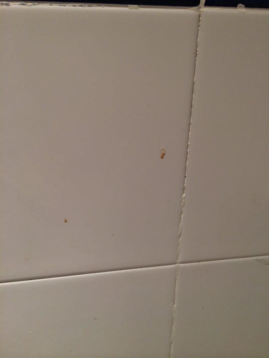 Mysteriöse Flecken an der Klowand - ist es Kot? Calimera Yati Beach