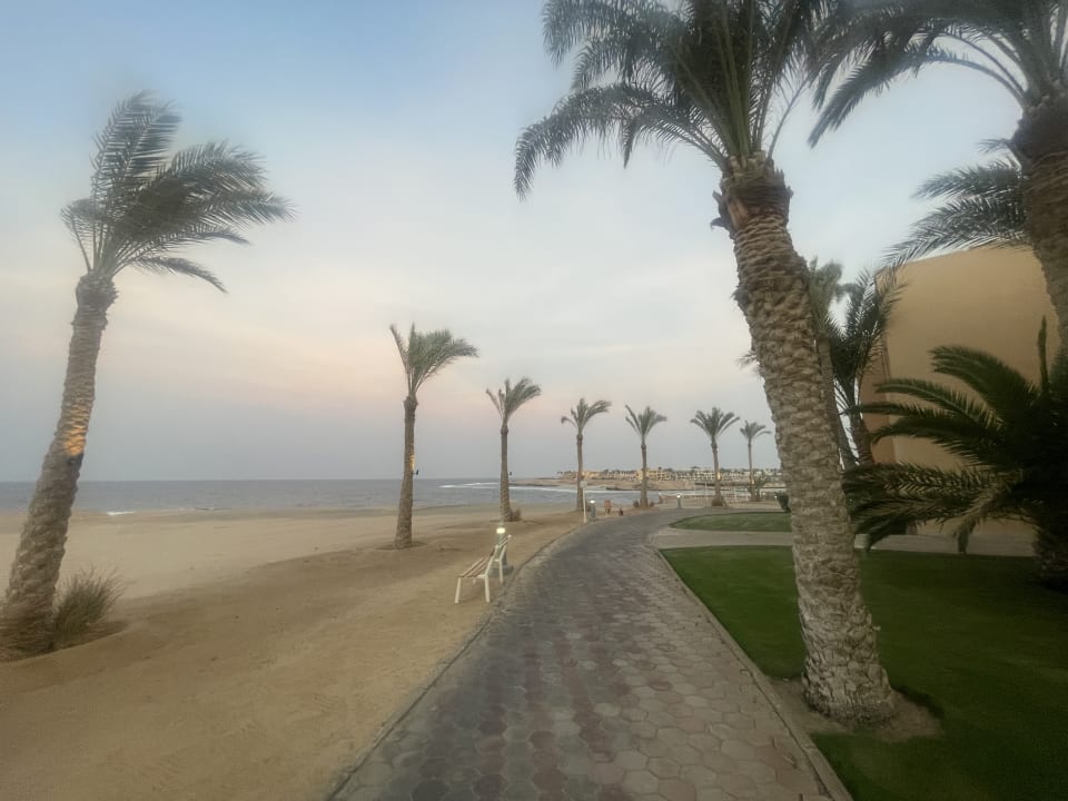 Gartenanlage Steigenberger Coraya Beach - Adults only