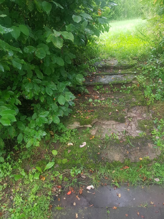Gartenanlage Ferienhaus Seepark 60