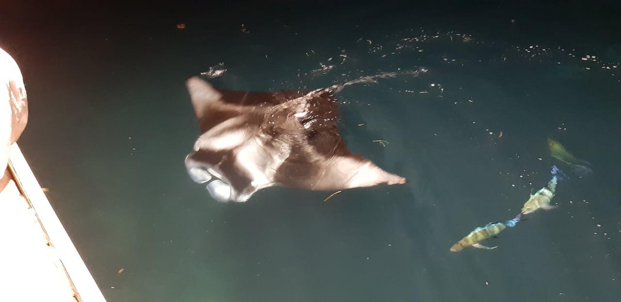 Strand Sun Siyam Olhuveli