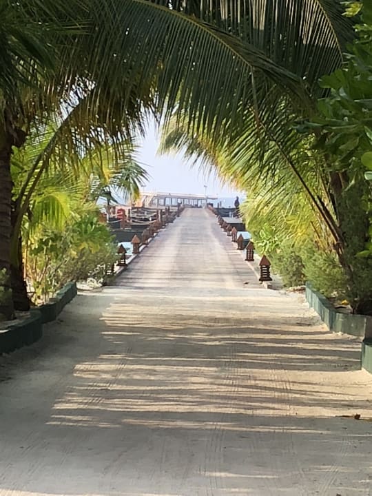 Gartenanlage Adaaran Select Meedhupparu Island Resort - Premium All Inclusive