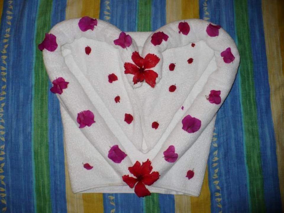 Handtuchfaltkunst Grand Palladium Select Bávaro Resort & Spa