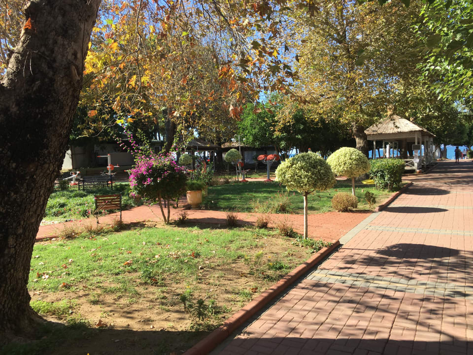 Garten Lonicera Resort & Spa Hotel