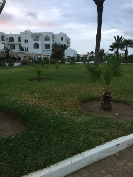 Gartenanlage Vincci Helios Beach