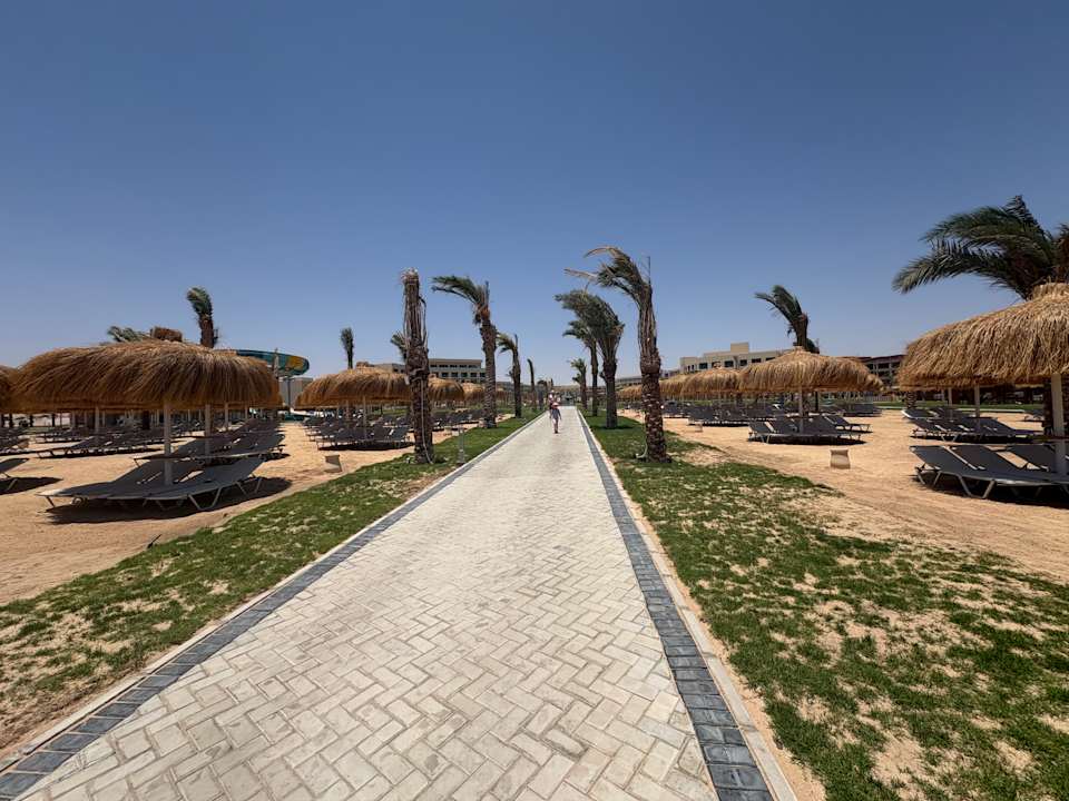 Strand JAZ Elite Asteria