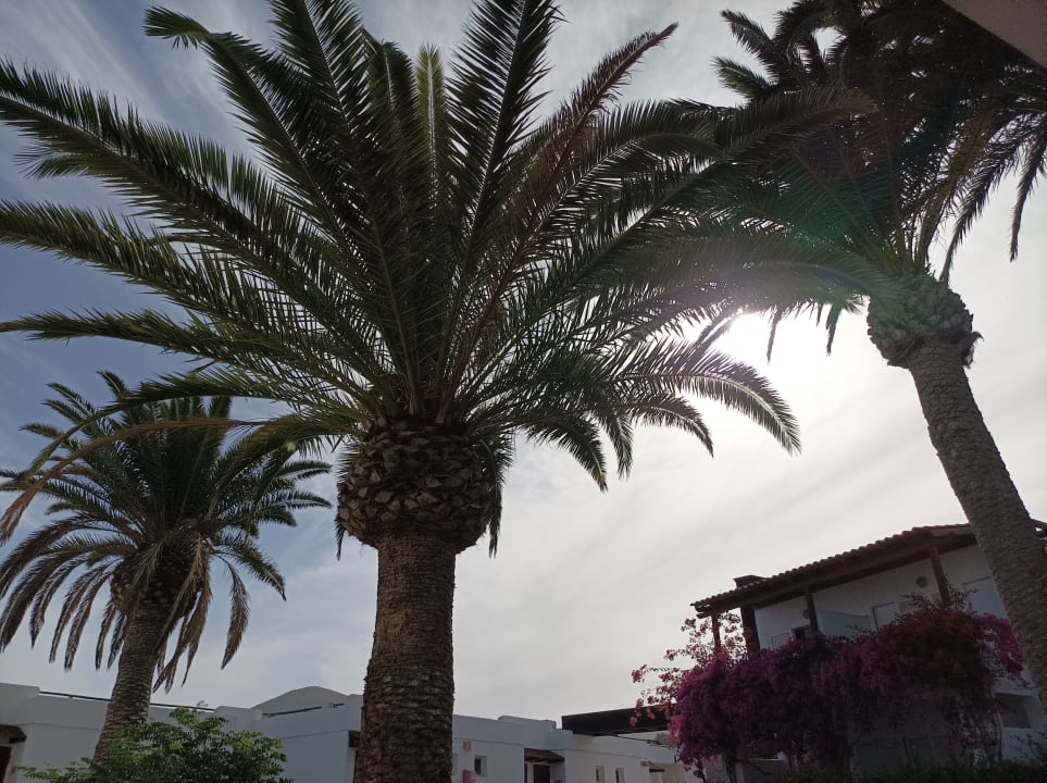 Außenansicht ROBINSON ESQUINZO PLAYA