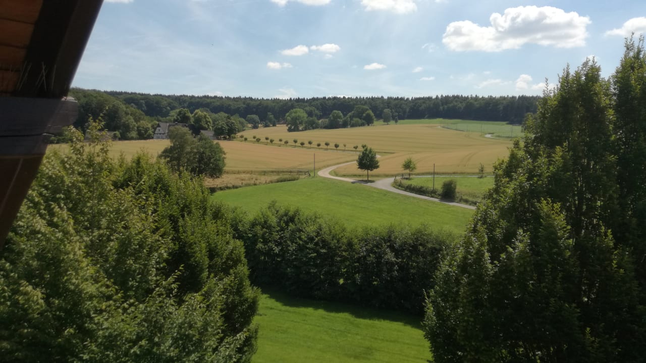 Ausblick Zimmer 323 Ringhotel Landhotel Buller