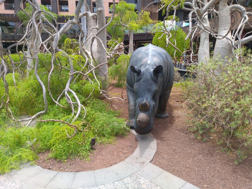 Gartenanlage Lopesan Baobab Resort