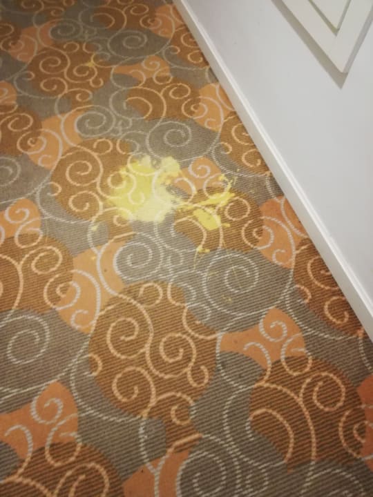 Sonstiges Well Palace Side