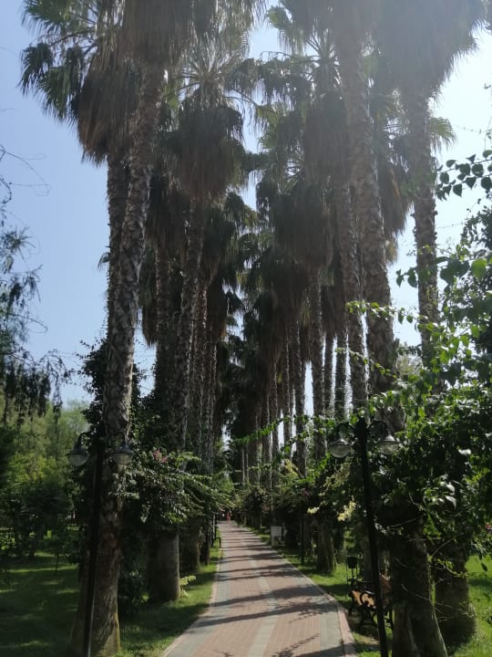 Gartenanlage Hotel Gardenia Beach