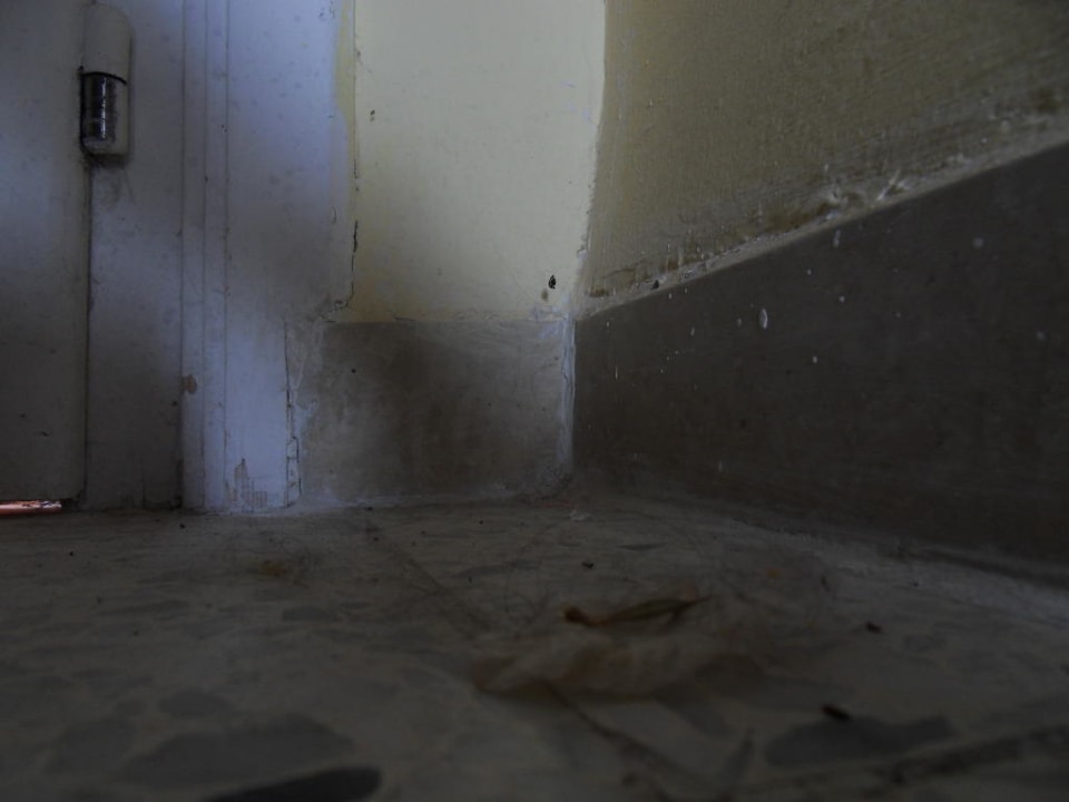 Nach der Reinigung Palmyra Golden Beach