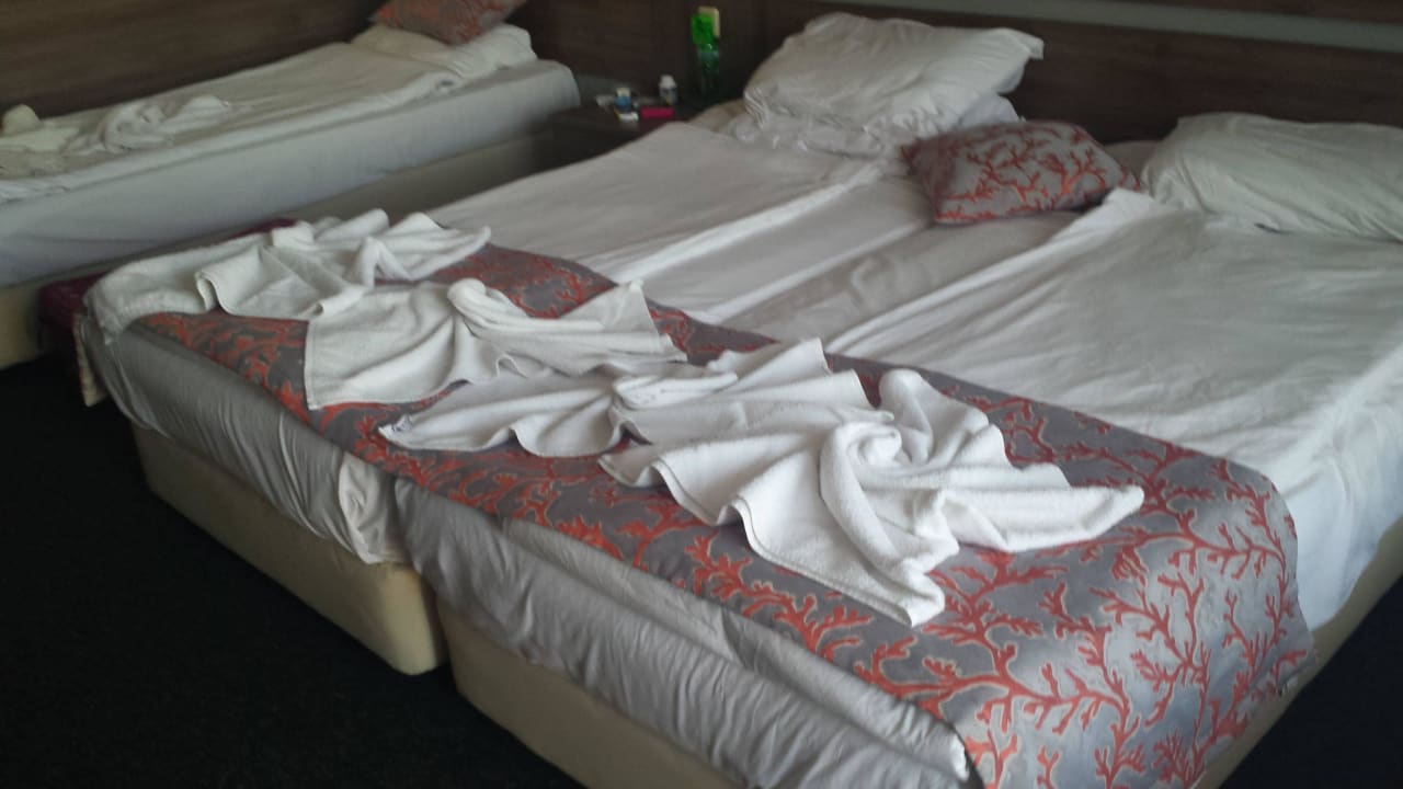 So waren jeden Tag die Betten gemacht Odessos Park Hotel