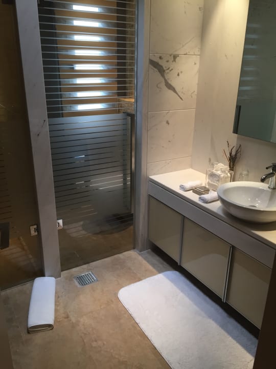 Zimmer Sani Asterias