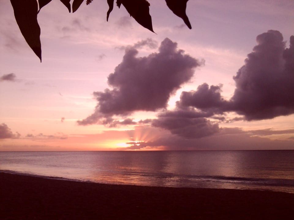 Sonnenuntergang Starfish Tobago Resort