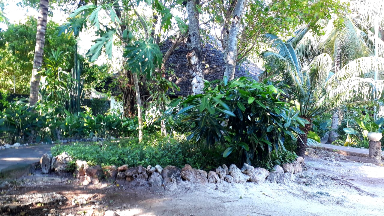 Gartenanlage Spice Island Hotel & Resort