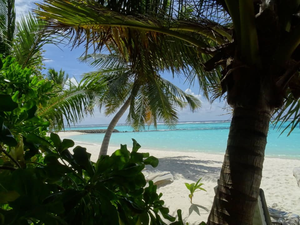 Strand Summer Island Maldives
