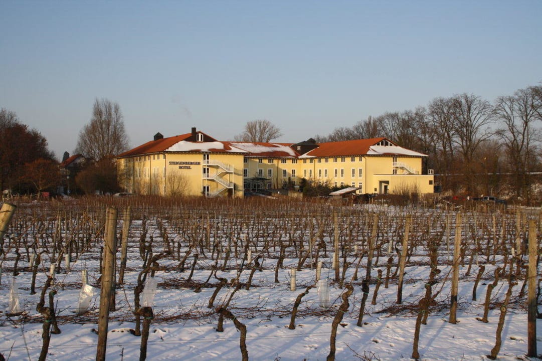 Hotel im Sonnenuntergang MAXX by Steigenberger Deidesheim