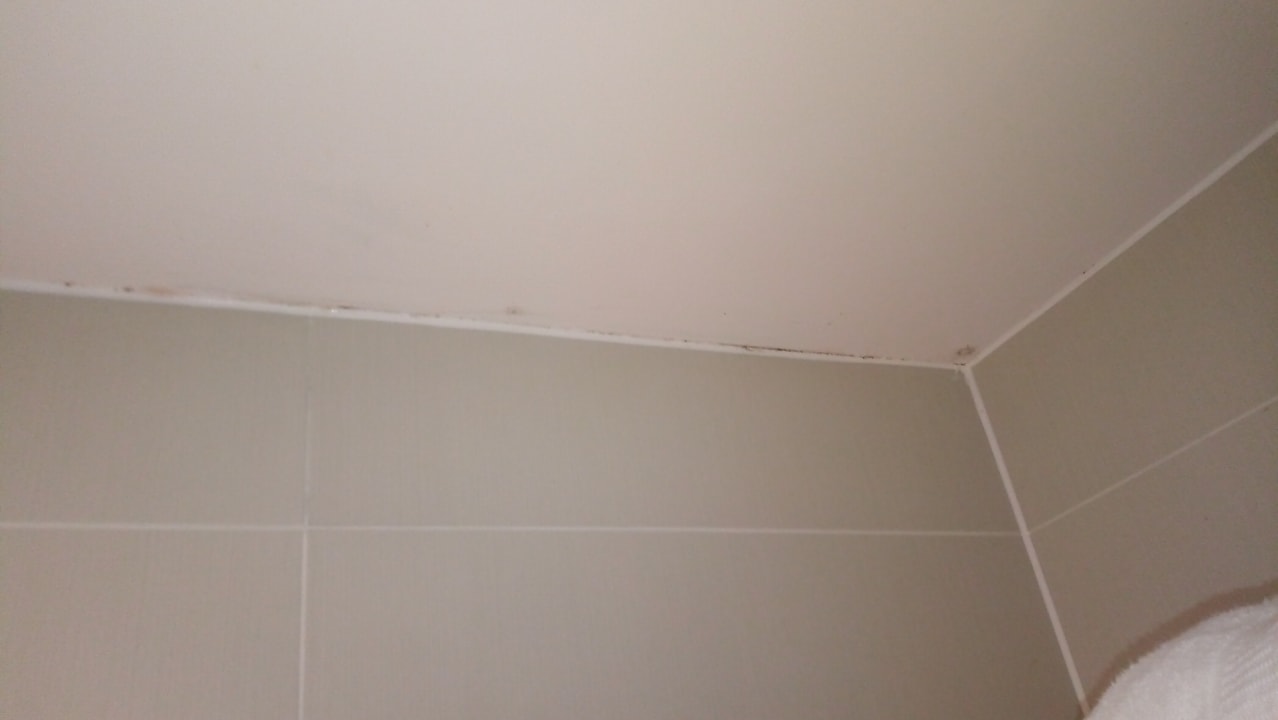 Zimmer Hotel Radisson Blu Edinburgh