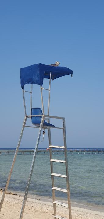 Strand Novotel Marsa Alam Beach Resort