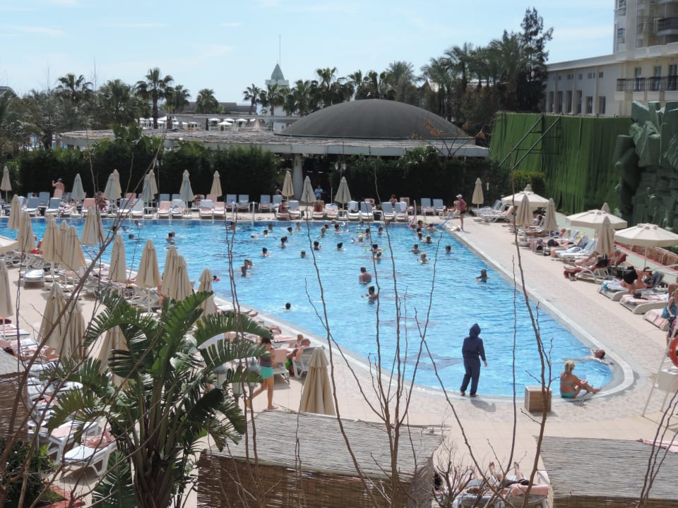 Beheizter Außenpool Hotel Delphin Imperial