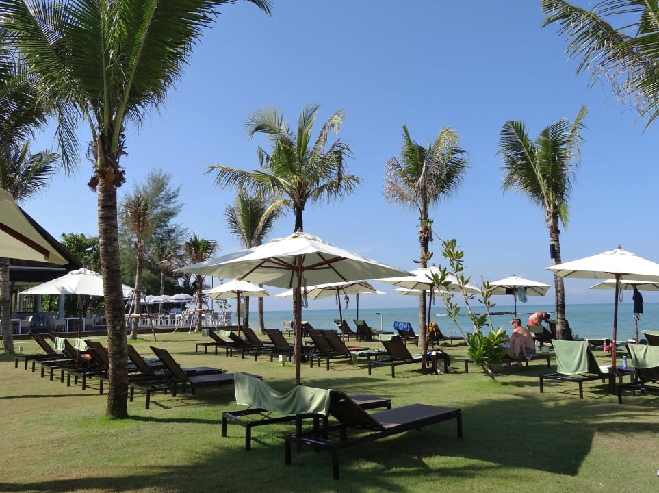 Kleiner Teil der grossen Liegewiese  The Sands Khao Lak by Katathani