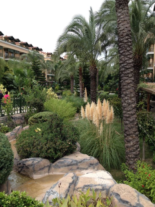 Crystal Paraiso Verde Crystal Paraiso Aqua Collection