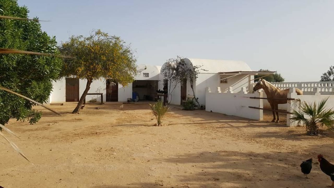 Stallansicht Ranch El Castille Gästehaus