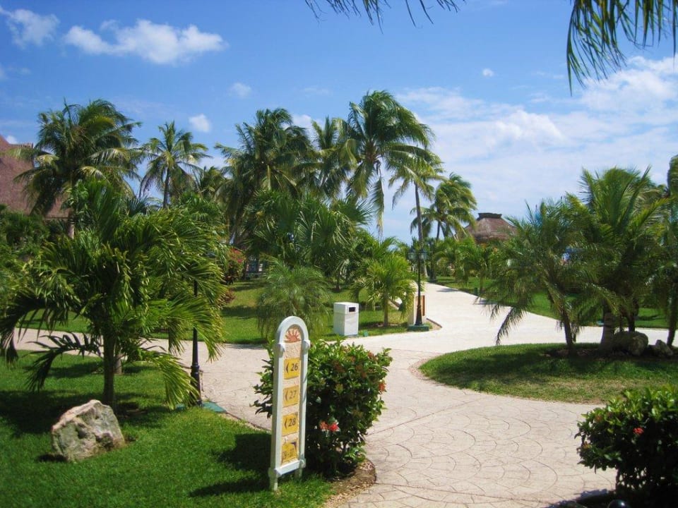 Gartenanlage H10 Ocean Maya Royale - Adults only