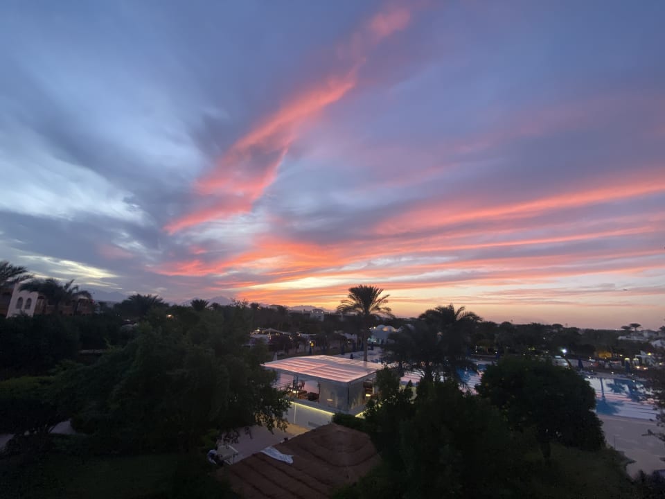 Ausblick Desert Rose