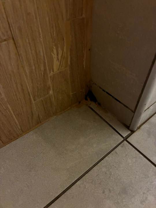 Zimmer VONRESORT Golden Beach