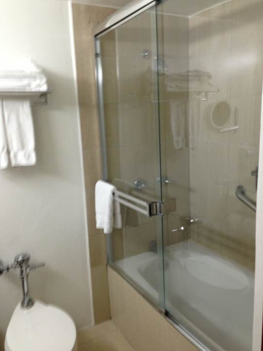 Badeanne Hotel Camino Real Managua