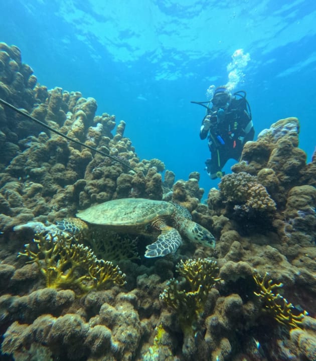 Sport & Freizeit Malikia Resort Abu Dabbab