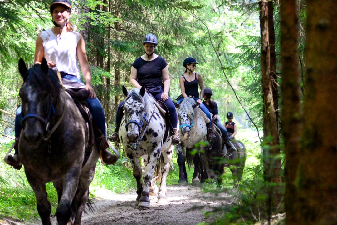 Sport & Freizeit Tigerhill-Ranch-Norikerhof