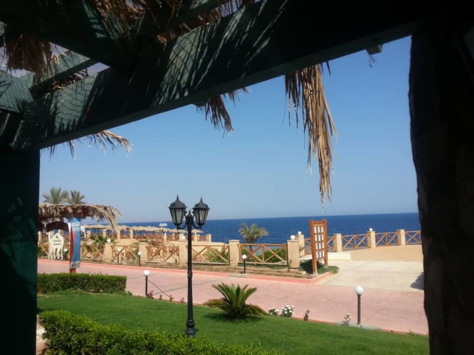 Przy plaży Safir Sharm Waterfalls Resort