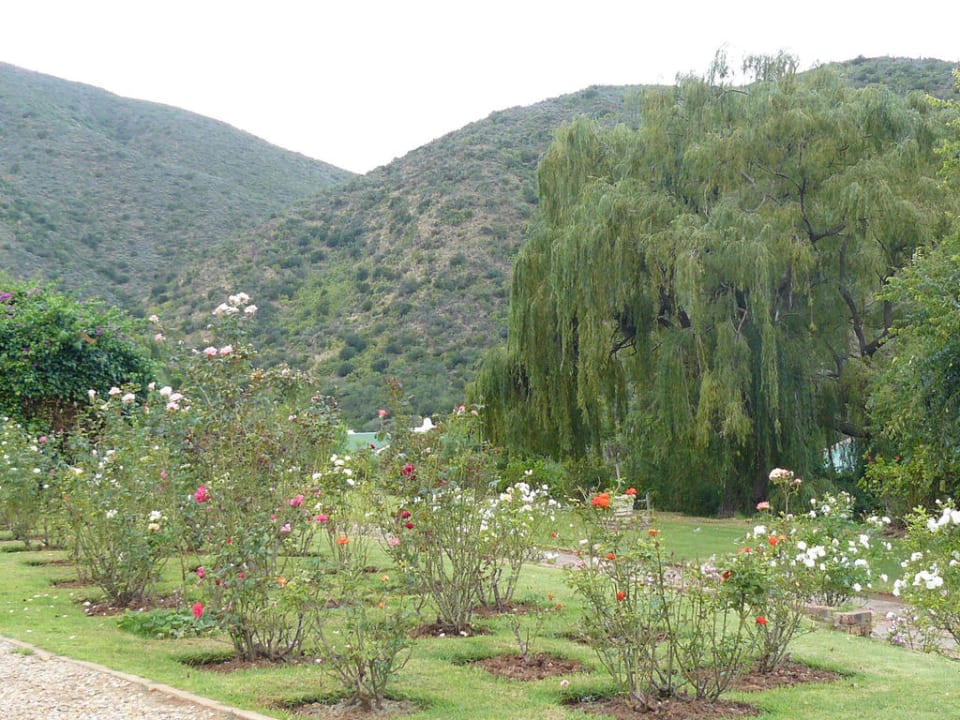 Wunderbarer Garten Hotel De Oude Meul