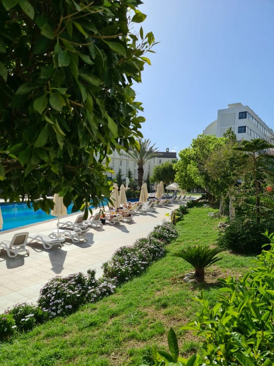 Pool Seaden Valentine Resort & Spa