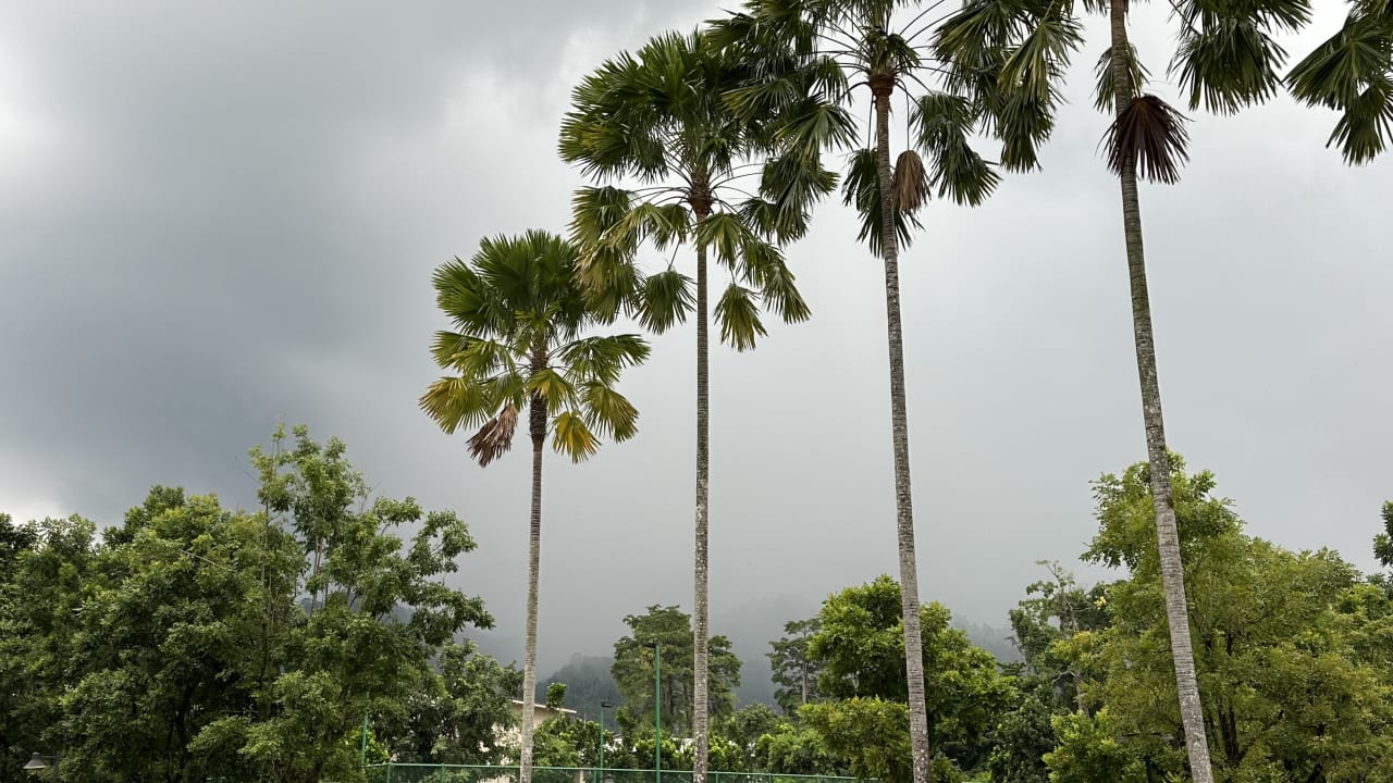 Außenansicht The Sands Khao Lak by Katathani