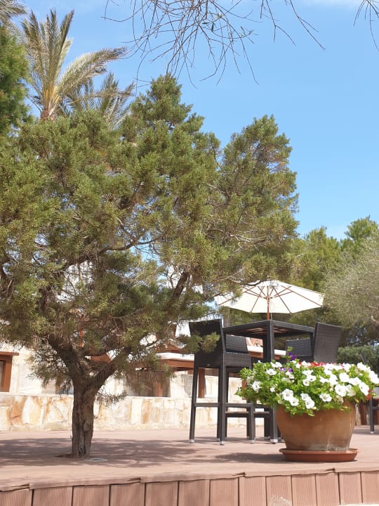Sonstiges ROBINSON CALA SERENA